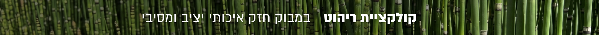 ריהוט במבוק